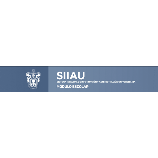 SIIAPI